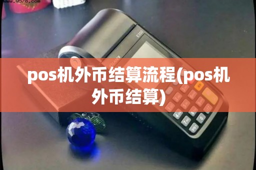 pos机外币结算流程(pos机外币结算)