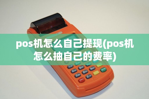 pos机怎么自己提现(pos机怎么抽自己的费率)