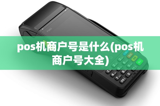 pos机商户号是什么(pos机商户号大全)