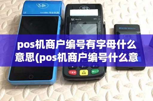 pos机商户编号有字母什么意思(pos机商户编号什么意思)