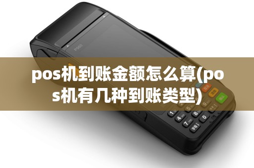pos机到账金额怎么算(pos机有几种到账类型)