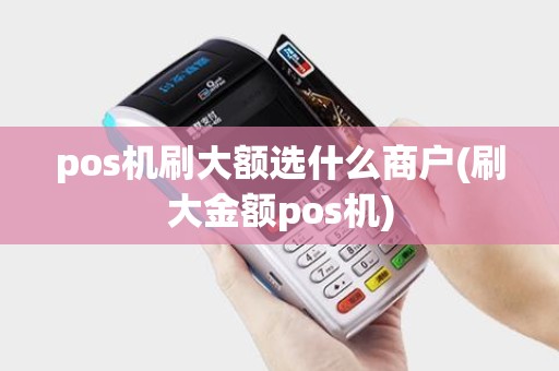 pos机刷大额选什么商户(刷大金额pos机)
