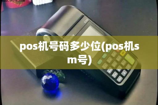 pos机号码多少位(pos机sm号)