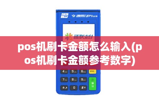 pos机刷卡金额怎么输入(pos机刷卡金额参考数字)