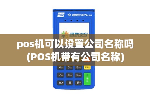 pos机可以设置公司名称吗(POS机带有公司名称)