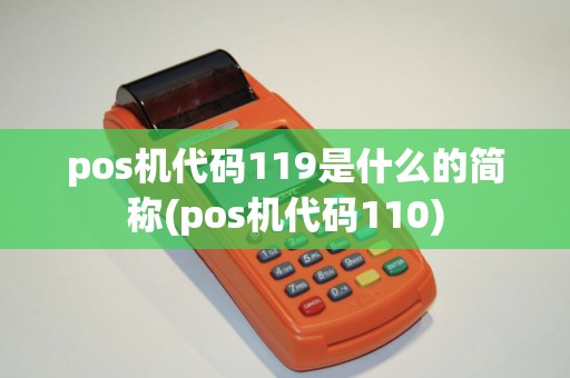 pos机代码119是什么的简称(pos机代码110)