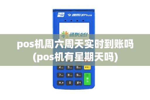 pos机周六周天实时到账吗(pos机有星期天吗)