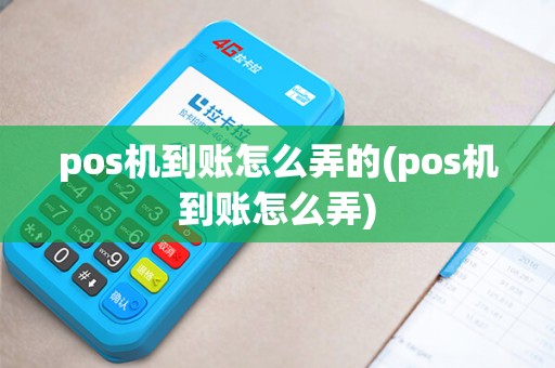 pos机到账怎么弄的(pos机到账怎么弄)
