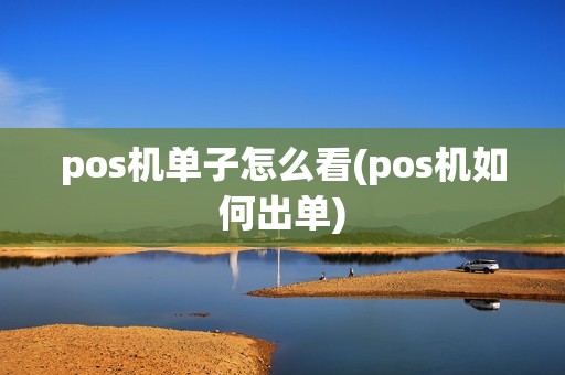 pos机单子怎么看(pos机如何出单)