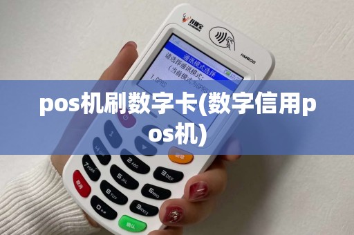 pos机刷数字卡(数字信用pos机)