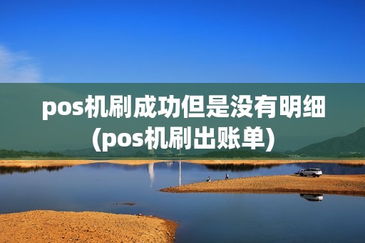 pos机刷成功但是没有明细(pos机刷出账单)
