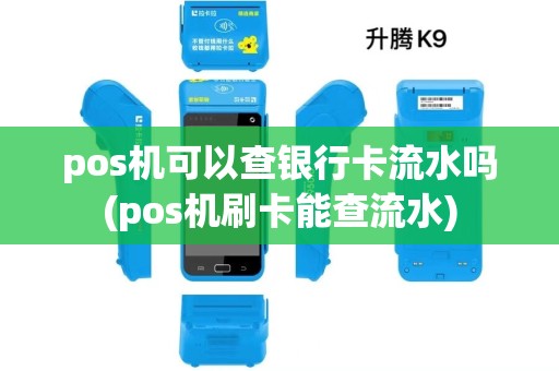 pos机可以查银行卡流水吗(pos机刷卡能查流水)