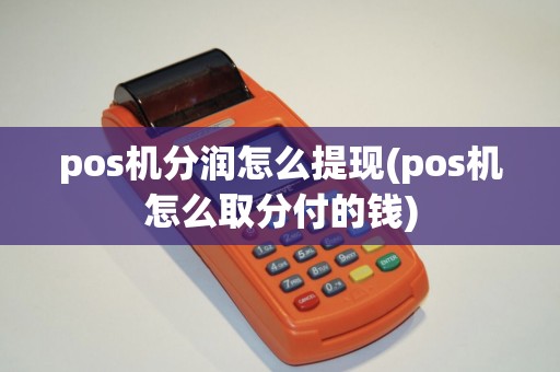 pos机分润怎么提现(pos机怎么取分付的钱)