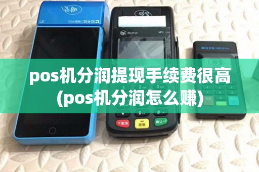 pos机分润提现手续费很高(pos机分润怎么赚)