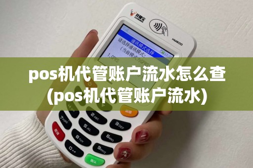 pos机代管账户流水怎么查(pos机代管账户流水)