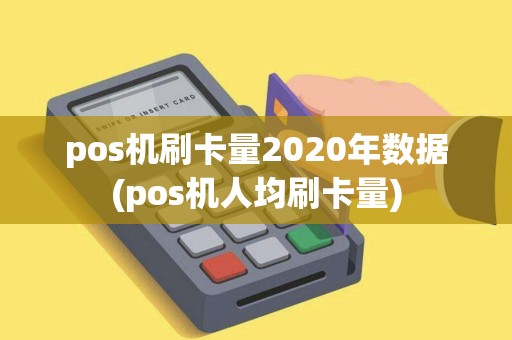 pos机刷卡量2020年数据(pos机人均刷卡量)