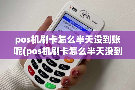 pos机刷卡怎么半天没到账呢(pos机刷卡怎么半天没到账)