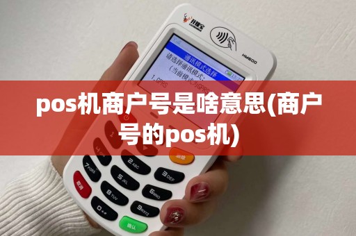 pos机商户号是啥意思(商户号的pos机)