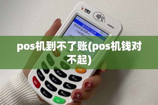 pos机到不了账(pos机钱对不起)