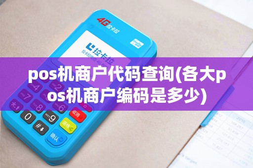pos机商户代码查询(各大pos机商户编码是多少)