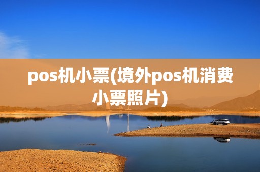 pos机小票(境外pos机消费小票照片)