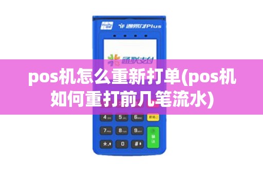 pos机怎么重新打单(pos机如何重打前几笔流水)