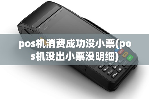 pos机消费成功没小票(pos机没出小票没明细)