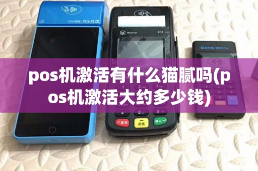 pos机激活有什么猫腻吗(pos机激活大约多少钱)