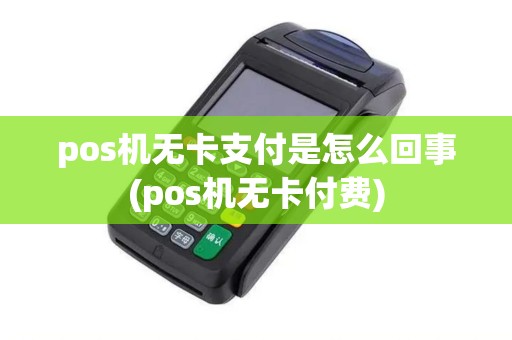pos机无卡支付是怎么回事(pos机无卡付费)