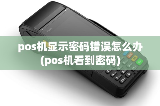 pos机显示密码错误怎么办(pos机看到密码)