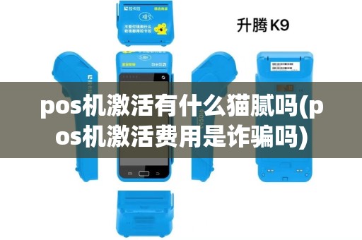 pos机激活有什么猫腻吗(pos机激活费用是诈骗吗)