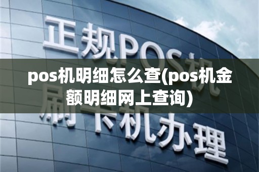 pos机明细怎么查(pos机金额明细网上查询)