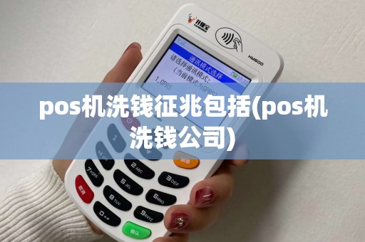 pos机洗钱征兆包括(pos机洗钱公司)