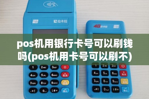pos机用银行卡号可以刷钱吗(pos机用卡号可以刷不)