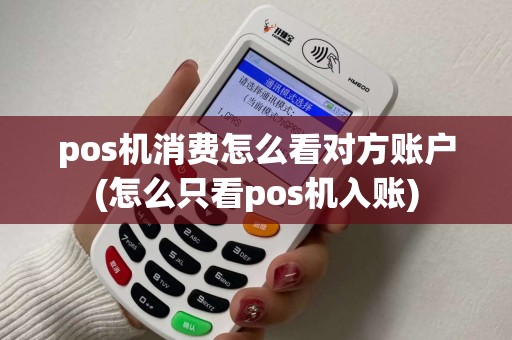 pos机消费怎么看对方账户(怎么只看pos机入账)