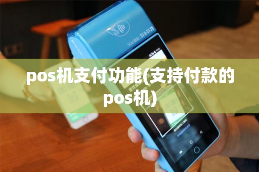 pos机支付功能(支持付款的pos机)