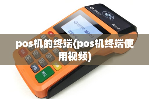 pos机的终端(pos机终端使用视频)