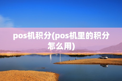 pos机积分(pos机里的积分怎么用)