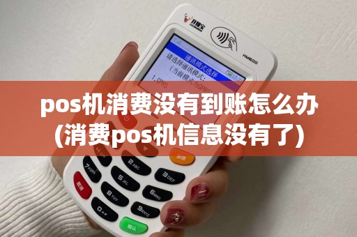 pos机消费没有到账怎么办(消费pos机信息没有了)