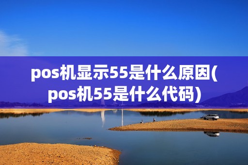 pos机显示55是什么原因(pos机55是什么代码)