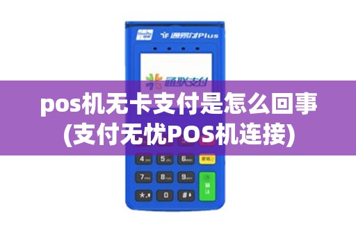 pos机无卡支付是怎么回事(支付无忧POS机连接)