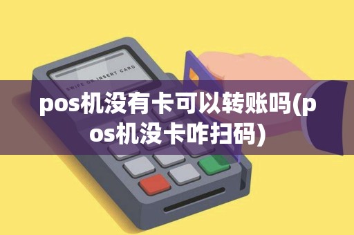pos机没有卡可以转账吗(pos机没卡咋扫码)
