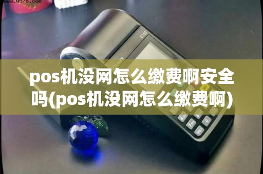 pos机没网怎么缴费啊安全吗(pos机没网怎么缴费啊)