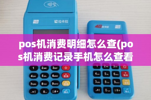pos机消费明细怎么查(pos机消费记录手机怎么查看)