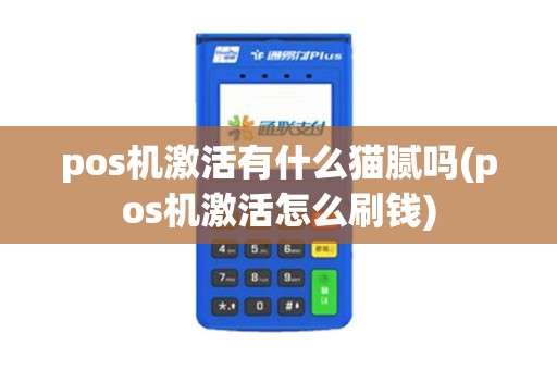 pos机激活有什么猫腻吗(pos机激活怎么刷钱)
