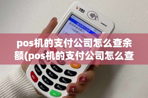 pos机的支付公司怎么查余额(pos机的支付公司怎么查)