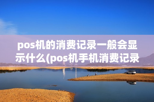 pos机的消费记录一般会显示什么(pos机手机消费记录)