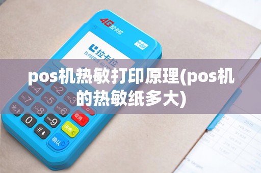 pos机热敏打印原理(pos机的热敏纸多大)