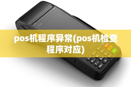 pos机程序异常(pos机检查程序对应)