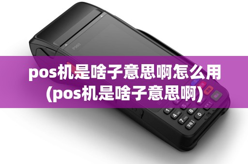 pos机是啥子意思啊怎么用(pos机是啥子意思啊)